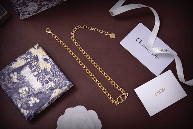 Dior飾品 迪奧經典熱銷款鏈條項鏈 2020新款字母款女款項鏈  zgd1159